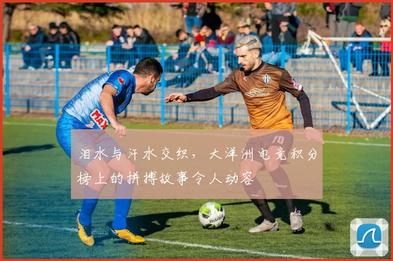 泪水与汗水交织，大洋洲电竞积分榜上的拼搏故事令人动容