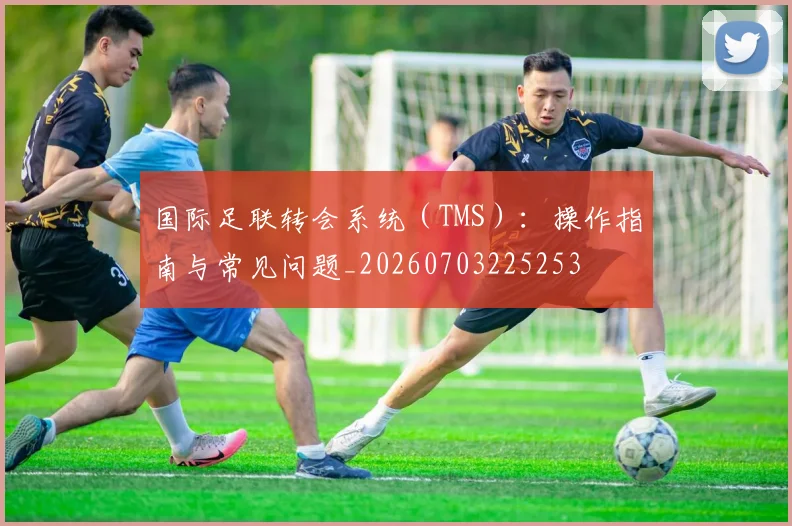 国际足联转会系统(TMS):操作指南与常见问题_20260703225253