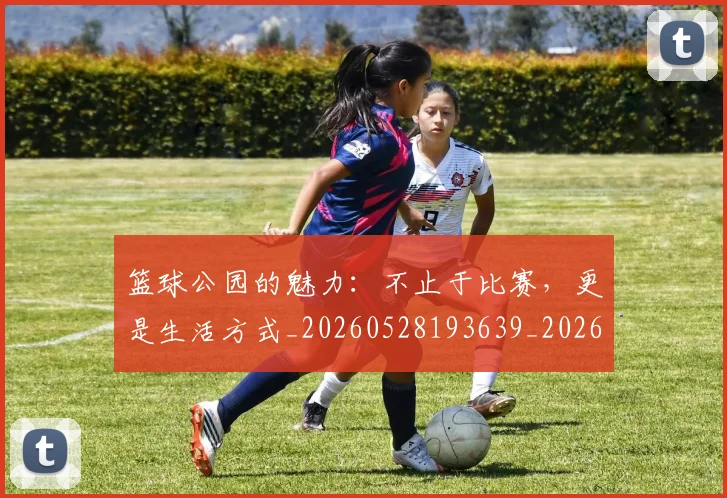 篮球公园的魅力：不止于比赛，更是生活方式_20260528193639_20260708195850_20260803134427