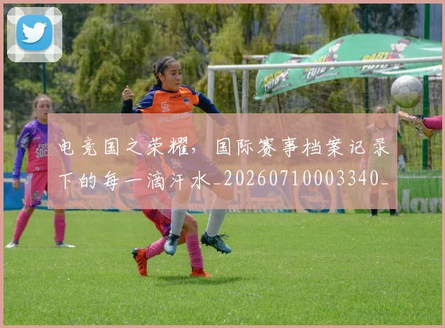 电竞国之荣耀,国际赛事档案记录下的每一滴汗水_20260710003340_20260802161944