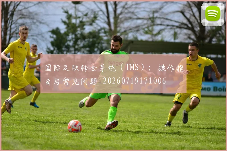 国际足联转会系统（TMS）：操作指南与常见问题_20260719171006